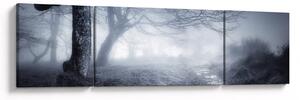 Obraz- Droga we mgle (170x50 cm)