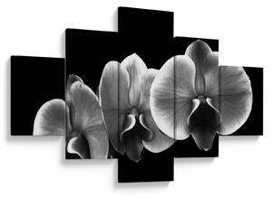 Obraz kwiatu orchidei (125x70 cm)