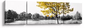Obraz - Odpoczynek w parku (170x50 cm)