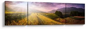 Obraz krajobrazu (170x50 cm)