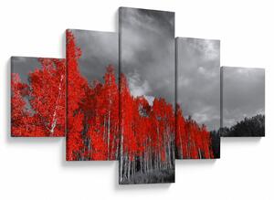 Obraz - Drzewa w kolorze jesieni (125x70 cm)