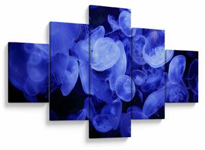 Obraz - Meduzy (125x70 cm)