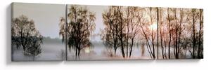 Obraz - Poranna suchość (170x50 cm)