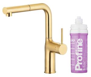 Bateria kuchenna stojÄ ca KFA ARMATURA Duero Pure Move z filtrem wody ZÅoty szczotkowany PVD 6623-425-39