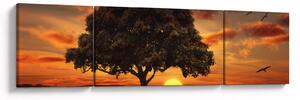 Obraz drzewa o zachodzie słońca (170x50 cm)