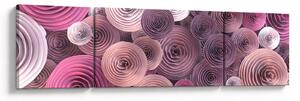 Abstrakcyjny obraz kwiatów róży (170x50 cm)