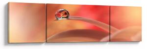 Obraz kwiecistej kropli rosy (170x50 cm)