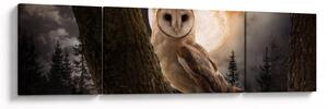 Obraz sowy palonej (170x50 cm)