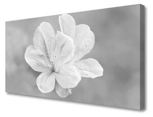 Obraz canvas na ścianę Kolorowy Ogród na Płótnie