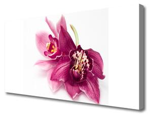 Obraz canvas Wykwintny Ogród Botaniczny