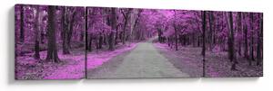 Obraz - Ścieżka przez park (170x50 cm)