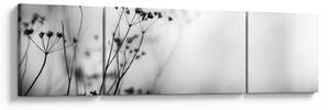 Obraz - Detal kwiatów polnych (170x50 cm)