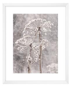 Obraz 40x50 cm Snow – knor
