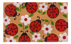 Wycieraczka z włókna kokosowego 75x45 cm Lady Beetle – Hanse Home