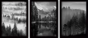 Obrazy zestaw 3 szt. 35x45 cm Black & White – Wallity