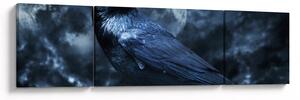 Obraz - Gawron (170x50 cm)