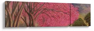 Obraz kwitnących drzew (170x50 cm)