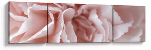 Obraz - Szczegół kwiatu (170x50 cm)