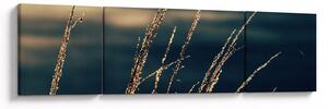 Obraz traw (170x50 cm)
