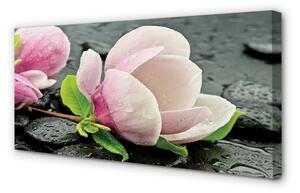 Obraz canvas na ścianę Magnolia i Kamienie