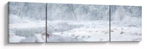 Obraz łabędzi (170x50 cm)
