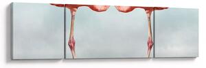 Obraz dwóch flamingów (170x50 cm)