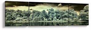 Obraz akwenu wodnego (170x50 cm)