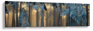 Obraz zaśnieżonego lasu (170x50 cm)
