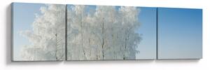 Obraz zaśnieżonego krajobrazu (170x50 cm)