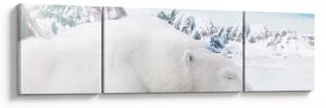 Obraz - Niedźwiedź polarny (170x50 cm)