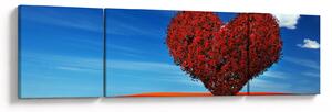 Obraz - Serce z drzewa (170x50 cm)