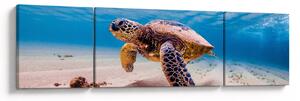 Obraz żółwia w oceanie (170x50 cm)