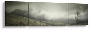 Obraz krajobrazu przed burzą (170x50 cm)
