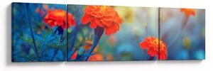 Obraz - Pomarańczowe kwiaty (170x50 cm)