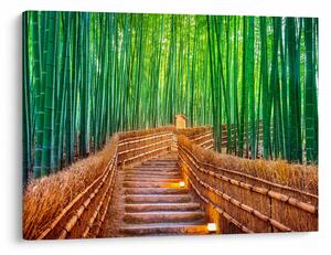 Obraz - Japoński las bambusowy (70x50 cm)