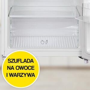 Lodówka CANDY CDG1S514EW 142.8cm Biała