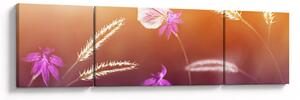 Obraz - Różowy motyl (170x50 cm)