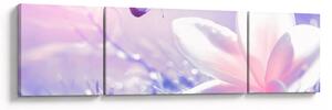 Obraz - Motyl lecący do kwiatu (170x50 cm)