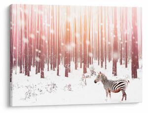Obraz - Zebra w śnieżnym lesie (70x50 cm)