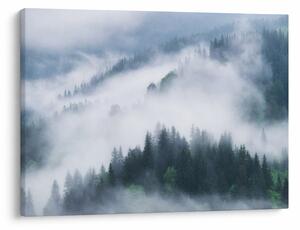 Obraz - Drzewa we mgle (70x50 cm)