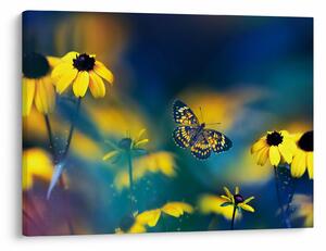 Obraz - Żółty motyl z kwiatami (70x50 cm)