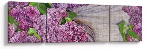 Obraz - Bez (170x50 cm)