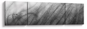 Obraz - Trawa na wietrze (170x50 cm)