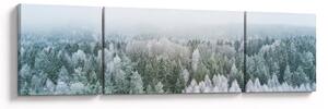 Obraz - Ośnieżone szczyty lasów (170x50 cm)
