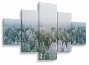 Obraz - Ośnieżone szczyty lasów (125x70 cm)