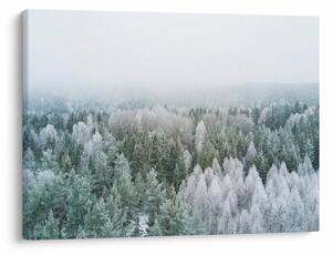 Obraz - Ośnieżone szczyty lasów (70x50 cm)