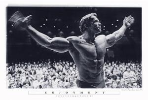 Plakat, Obraz Arnold Schwarzenegger - Enjoyment, (91.5 x 61 cm)