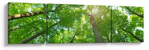 Obraz - Las (170x50 cm)