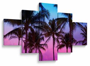 Obraz - Palmy w Miami (125x70 cm)