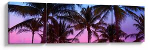 Obraz - Palmy w Miami (170x50 cm)